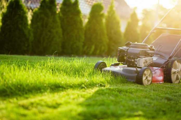 How Might The Gardening Services Help You Maintain A Perfect Garden?