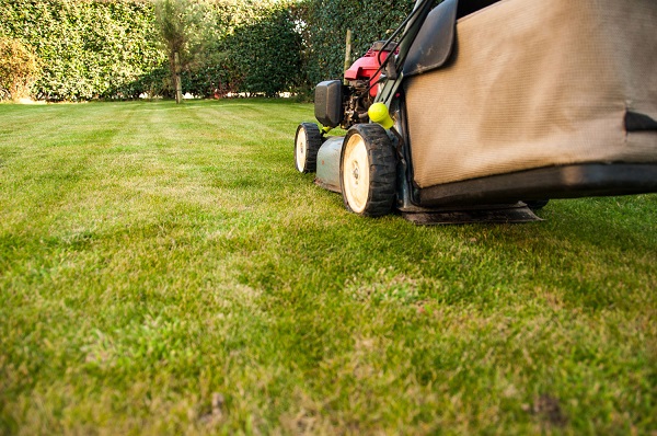 HOW Might YOU MAKE YOUR LAWN APPEAR BIGGER?