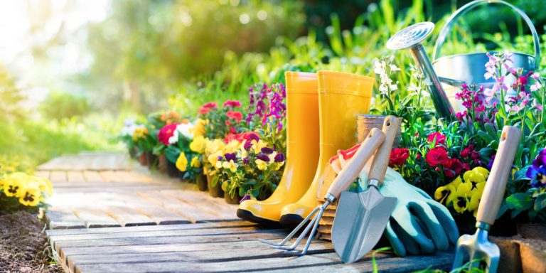 The most effective method to Prepare to Grow a Successful Garden