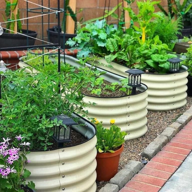 Watering The Plants in Your Raised Garden Bed