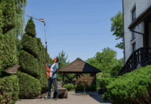 How Elegant Landscaping in Hinsdale Can Accidentally Invite Pests