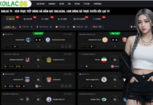 Elevate Your Sporting Passion with XoilacTV and the Best KQBD 24h Updates Why Keeping Track of KQBD 24h is Essential for Modern Fans