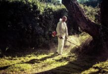 Mistakes that Worsen Pest Infestations in Highland Village