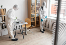 Dos and Don’ts When Tackling Pests in Washington, DC Homes